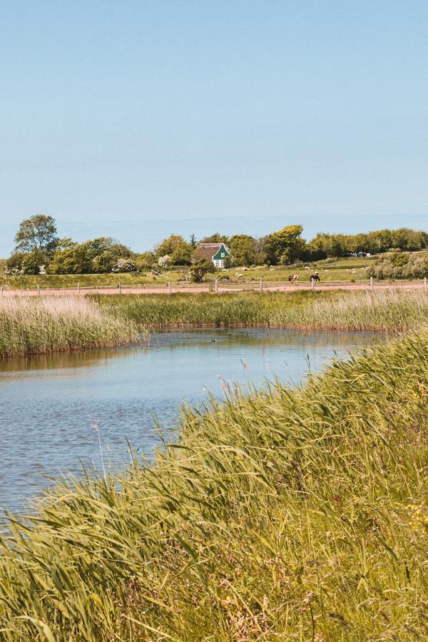 Bed and Breakfast Bed & Bakkie Het Lamsoor Texel 't Horntje Esterno foto